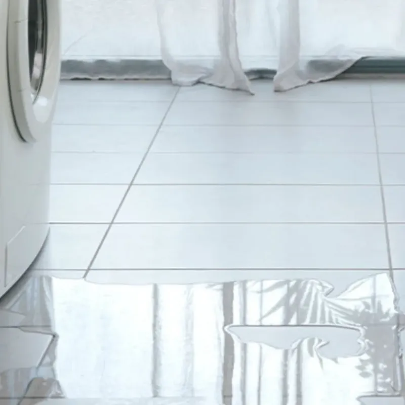 Appliance Leak Cleanup in McIntosh County, GA