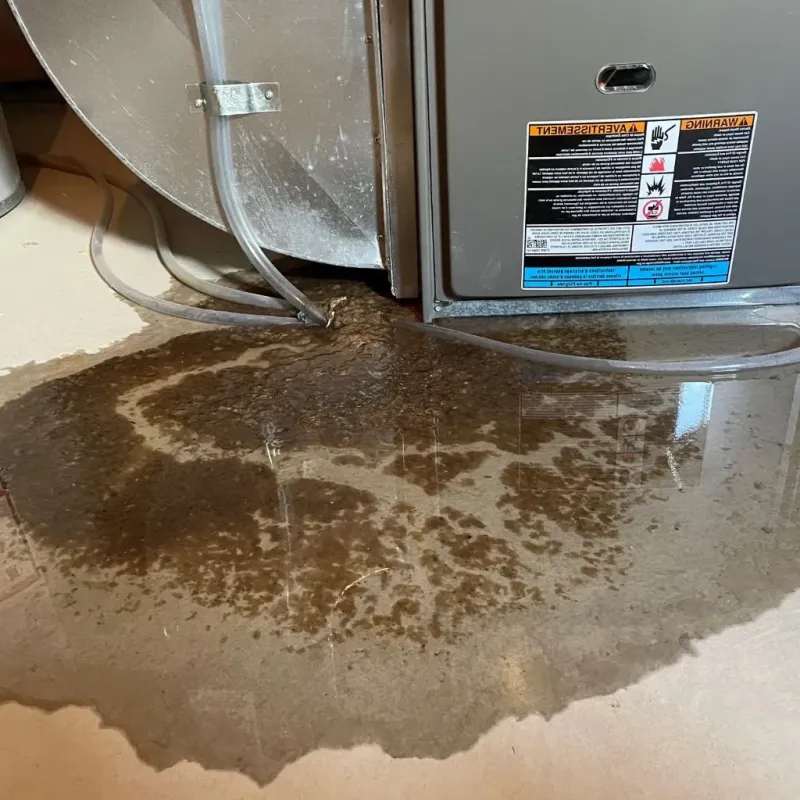 Pipe Burst and Leak Restoration in McIntosh County, GA