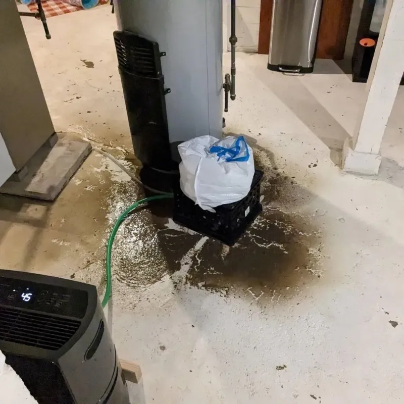 Sewage Backup Cleanup Service in McIntosh County, GA